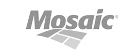 Mosaic Fertilizantes